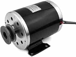 ZY1020 24V 36V 48V 500W Type A Pulley High Speed DC Brush