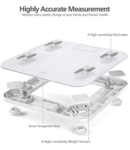 https://m.media-amazon.com/images/I/41RydfKimiL._SL500_.jpg
