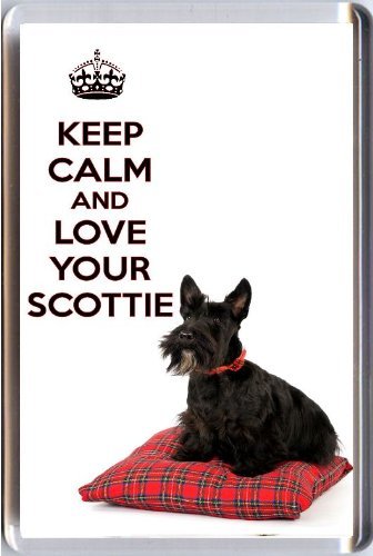 DERMAEX Keep Calm and Love Your Scottie Fridge Magnet Printed on an Image of a Black Scottish Terrier on a Tartan Pillow. A Unique Christmas Stocking Filler or Birthday Gift for a Dog Lover.-L8
