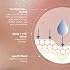 Nu Skin | ageLOC Tru Face Peptide Retinol Complex | 1 Fl Oz | Serum Skincare | مصل الوجه المضاد للشيخوخة | Pore Minimizing | منتج العناية ببشرة الوجه الببتيد