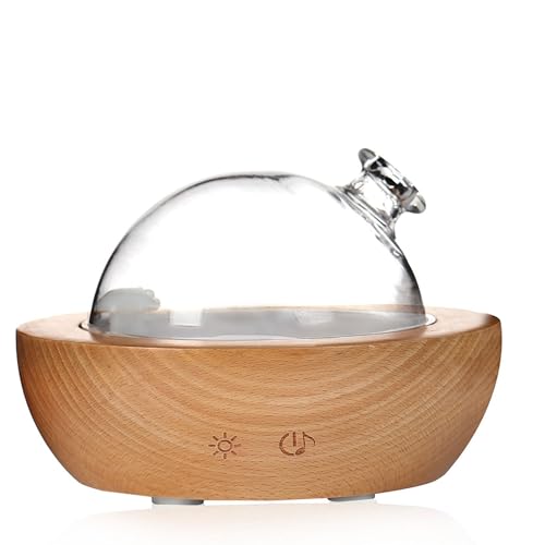 Diffuseur d'huiles essentielles design en verre avec haut-parleur