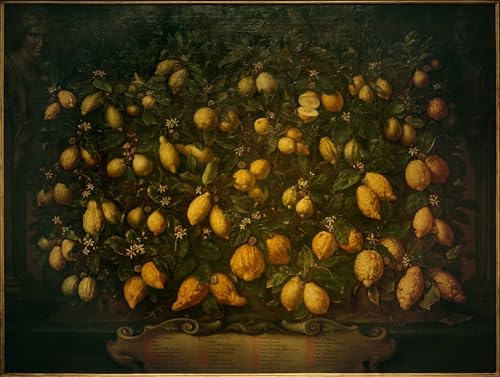 Peinture sur toile fruits Bimbi pour une décoration de chambre nordique et chaleureuse