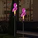 Flamingo Solar Lights Outdoor Decor, Solar Pink Flamingos Outdoor for Yard Decorations,Pink Neon Solar Flamingo Garden Lights for Outside,Pathways,Patio or Lawn Decor(2Pack)