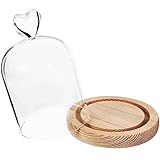 💖✨Konservierte Blumen Glasabdeckung mit Holzsockel Hergestellt aus hochwertigem Glas, Holzmaterial, tragbar und praktisch.