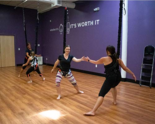 Uplift Active Bungee Fitness Set - Suspension Training for Bungee Dance, HIIT Training, Inversion Therapy with Padded Harness (Large)