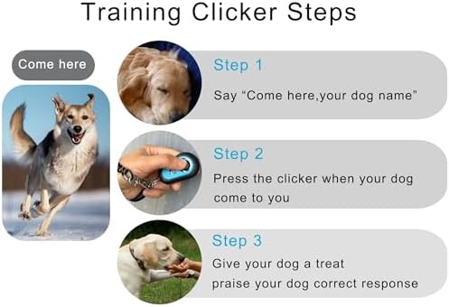 Pet Clicker for Dogs/Cats/Horses/Birds or Other Animals — bottom and base construction detail