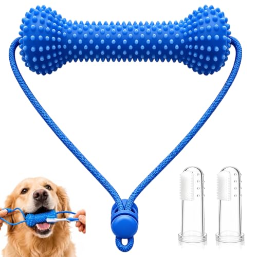 Dual-Action Canine Dental Prop, Dog Dental Chew Toy for Easier Teeth Brushing, Premium Pet Oral Care Accessory，Brushing Toothbrush Tools Care Chew Toys（1PCS）