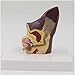 Teaching Model Tools,Dog Ear Anatomy Model Normal and Infected Health Pathological Ear Model for Classroom Demonstration Tools Teacher Props 2 Sides of Dog Ear