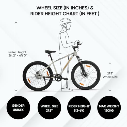 Image of ROADGIANT Squad BlackGold 27.5T | MTB | Steel Bicycle | Dual Disc Brakes | Single Speed | Front Suspension | Unisex|for All-Terrain Riding (Dull White)
