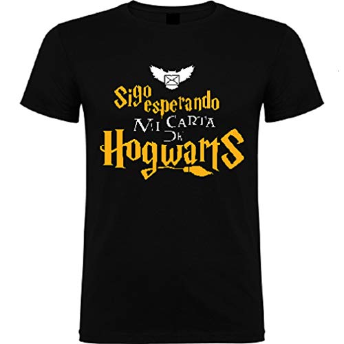 Camiseta Unisex Harry Potter Carta (M)