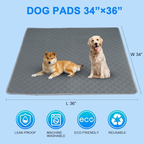 Image of Washable Pee Pads for Dogs 34 inchx36 inch Reusable Puppy Pad Pet Training Pads, Waterproof Mat Non-Slip, Dog Pee Pad Whelping Pads Dog Mat-Playpen,Crate,Sofo,Car,Potty,Bed