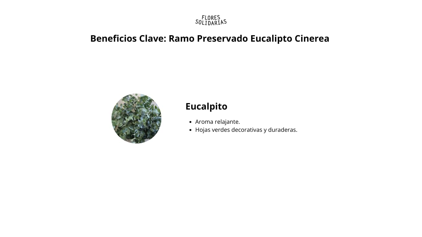 FLORES SOLIDARIAS - Flores Preservadas - Ramos de Flores Preservadas Naturales - Eucalipto Preservado - Regalo día de la Madre - Regalo Aniversario, Regalos San Valentín - Envio 24 h