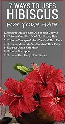 Image of Online Quality Store Dry Hibiscus Flowers for Hair | Hibiscus Sabdariffa | Rosa Sinensis | Gudhal Ke Phool - 200g