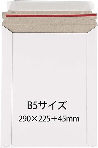 B5TCY Ή  B5rWlX y250AA p3v ^b`\tV[EJe[vt rWlX^[P[X }`ܐHt yʃ^Cv NbN|Xg 䂤pPbgΉ lR|X 䂤pbN }g^AΉ[փP[Xi