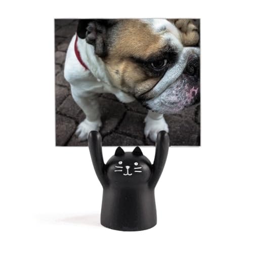 Bouledogue animal photographie photos mémo support pour décoration intérieure originale