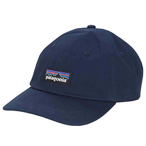 Patagonia Unisex P-6 Label Trad Cap Cap