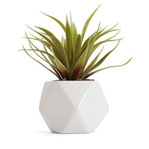 Bornbridge Artificial Succulent - Fake Succulent in Planter - Faux