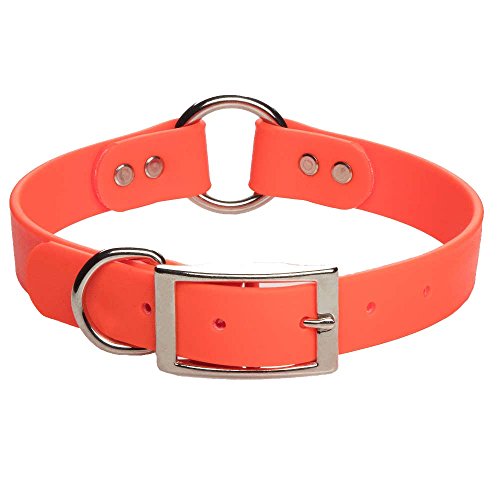center ring collar