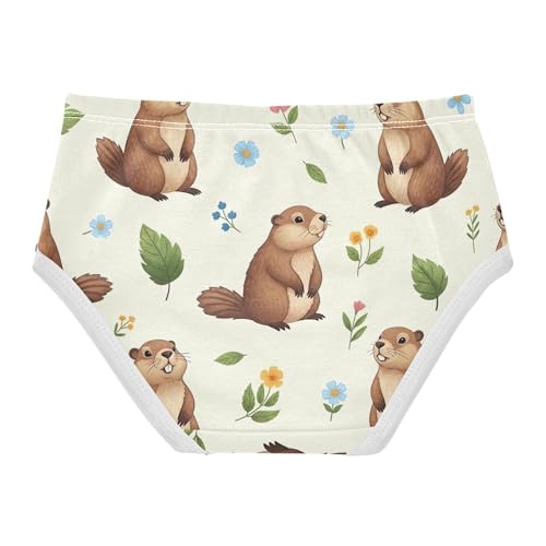 Cute Groundhogs Floral Beige Panties Little Girl Girls Underwear Toddler Cotton Cartoon Briefs Undies Kids 2t2
