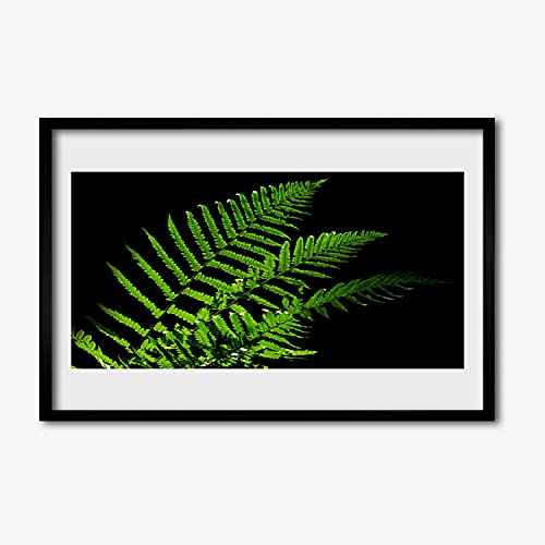 Affiche avec cadre paprotka fern feuilles 60x40cm moulure premium
