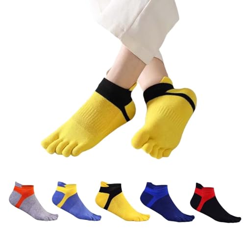 [Lifemaster] 5{w\bNX Y C ܖ{w\bNX N[\bNX 5Zbg X|[c  W  j JWA t  H ~ 25-28cm Mtg(5g-1)