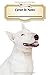 Carnet De Notes: Bull Terrier | Chiot ou Chien | A5 139 Pages Avec Papier Ligné | Art Notes | Cahier | Ligned Journal | Notebook | Espace pour votre nom