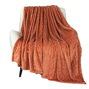 TOONOW Fleece Blanket Super Soft Cozy Throw Blanket 50″ x 60″, Lightweight Fuzzy Comfy Textured Flannel Blanket Winter Warm Plush Throw Blankets for Couch, Sofa, Bed, Carnelian