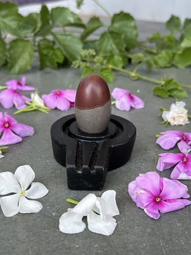 Image of Shivam VASTU AKAL 1.5 inch Original Narmadeshwar Narmada Shivling with 3 inch Narmada Stone Yoni Base Jaladhari (Mahamratunjay Shivling, Black Flate Jaladhari)