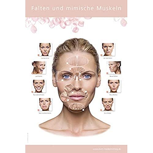 Poster Falten und mimische Muskeln
