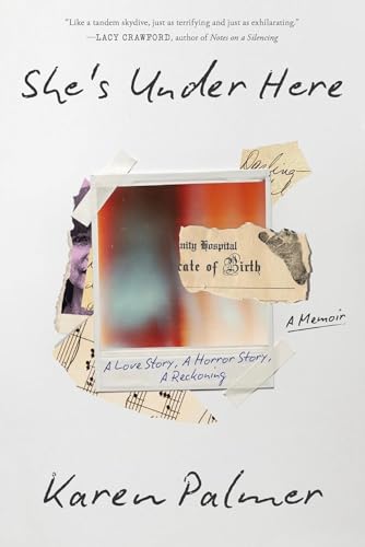 Karen Palmer: DIY Witness Protection