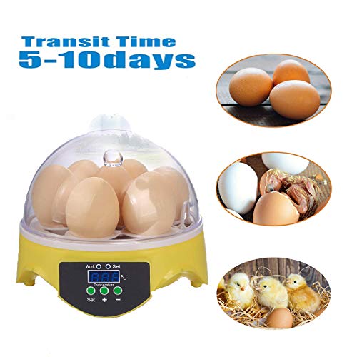 Housewives Mini 7 Egg Hatcher Incubator with Temperature Control, Digital Poultry General Purpose