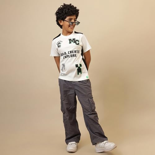 Image of Kidsville Official Minecraft Steve, Alex & Creeper Half Sleeves Round Neck Graphic Printed Regular Fit Pure Breathable Cotton Fabric Tshirt for Boys