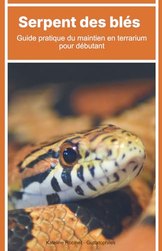 Serpent des blés : Guide pratique du maintien en terrarium pour débutant
