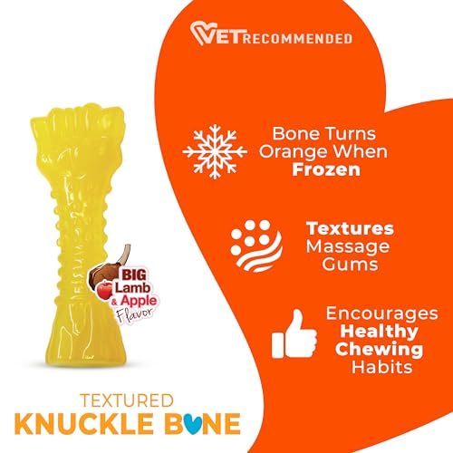 Nylabone 984680 Kühlender Kauknochen für Welpen, Lamm- und Apfelgeschmack, einfrieren zur Beruhigung des Zahnfleisches beim Zahnen, Größe S (bis 11 kg ohne ausgewachsene Zähne), 70 g