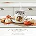 Spode Woodland Turkey 16 oz Mug - Fine Porcelain with Historic Brown Floral Border, Thanksgiving Drinkware for Hot Beverages - Microwave, Oven & Freezer Safe, British Country-Inspired Design