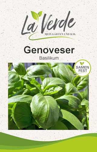 Basilikum Genoveser Kräutersamen