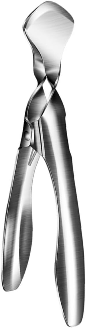 Toddmomy 5pcs Convenient Opener Tool Stainless Steel Separator Clip for Effortless Fruit Peeling and Picnics Essential Kitchenware for Easy Access