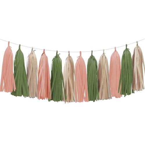 Image of Retro Pink Sage Green Tassel Garland for Woodland Baby Shower Decorations Boho Birthday Party Gender Reveal Decorations 15PCS