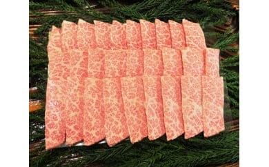 飛騨市推奨特産品 飛騨牛 5等級 カルビ 焼肉用 500g 牛肉 和牛 古里精肉店謹製