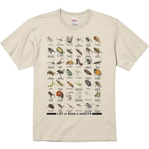 GCfBGX(MYDS) ̃Xg/TVc/Thx[W/ݽS