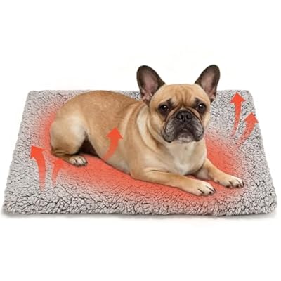 PatiencET Self Warming Cat Dog Bed
