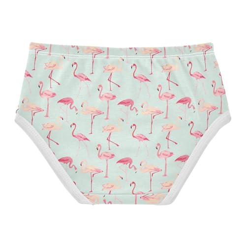 Girls Underwear Soft Cotton Flamingos Kids Panties in Sizes 2/3t, 4t, 5t, 6 and 82