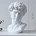 LKXHarleya 11.8 Inch Classic Greek Michelangelo David Bust Statue Replica Sculpture Figurine for Artist