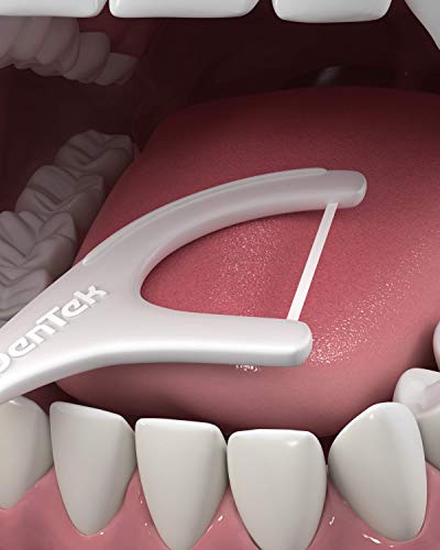 Dentek on the go Floss Picks e casi, confezione da...