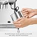 Breville Dual Boiler Espresso Machine BES920XL, Brushed Stainless Steel