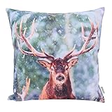 CB Home & Style Outdoor Garten Kissen Wasserabweisend 45 x 45 cm Weihnachten Winter (Hirsch)