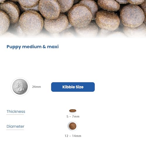 Farmina N&D Getreidefrei Adult Medium/Maxi Kürbis, Lamm & Heidelbeere für erwachsene Hunde mittelgroßer und großer Rassen - Komplettfuttermittel., Kilogramm:2.5 kg