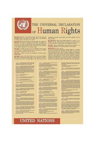 Human Rights Document Poster United Nations Charter Full Text Educational Chart For Classroom Office Wall Art Advocacy Awareness Decor(Unframed,12x18inch(30x45cm))