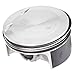 Polaris RZR Piston Kit, Genuine OEM Part 2206216, Qty 1