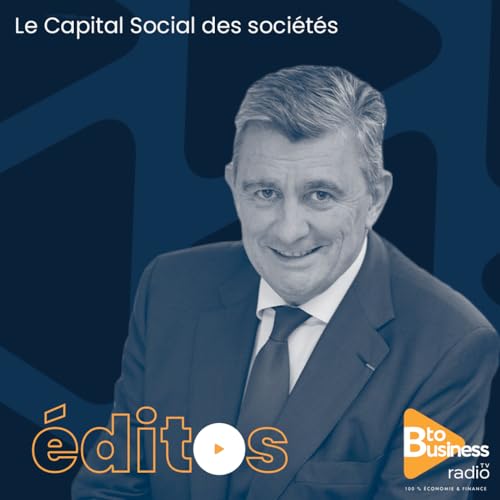 『Le Capital Social des soci&eacute;t&eacute;s | Philippe Arraou, Pr&eacute;sident d&rsquo;Honneur de l&rsquo;Ordre des Experts-Comptables』のカバーアート